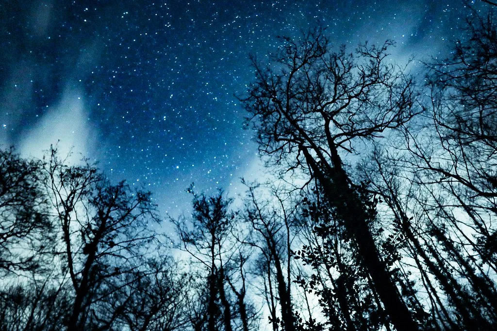 Stargazing in Wales: The 4 Accredited Areas and Best Spots